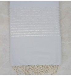 JETé bleu dragée au fil lurex argenté 