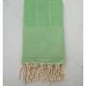 Fouta Chevron vert 