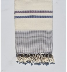 Chevron blanc crème, bleu et violet d'évèque 