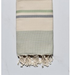 Chevron blanc crème, vert et gris horizon 