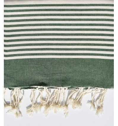 JETé vert mousse avec rayures  - 1