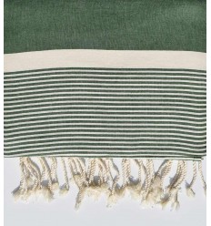 JETé vert mousse avec rayures  - 2