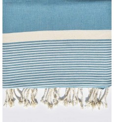 JETé bleu canard avec rayures  - 1