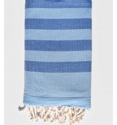 éponge couleur bleu clair et bleu  - 1